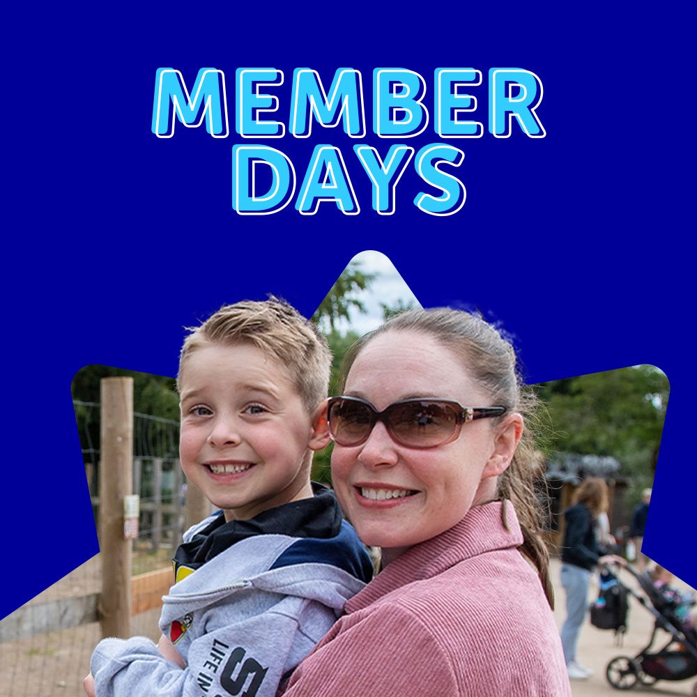 Member Days image