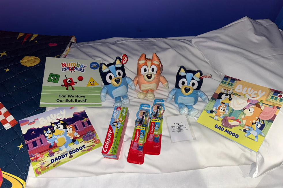 Children's books, toothbrush, toothpaste, Bluey and Bingo toys