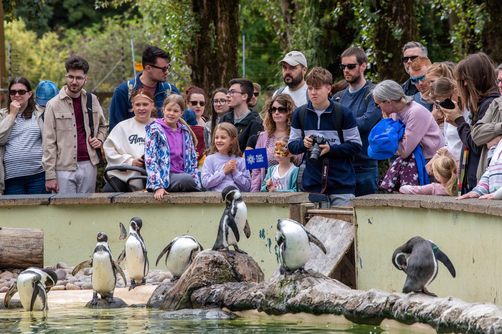 Blue Light Card members looking at penguins