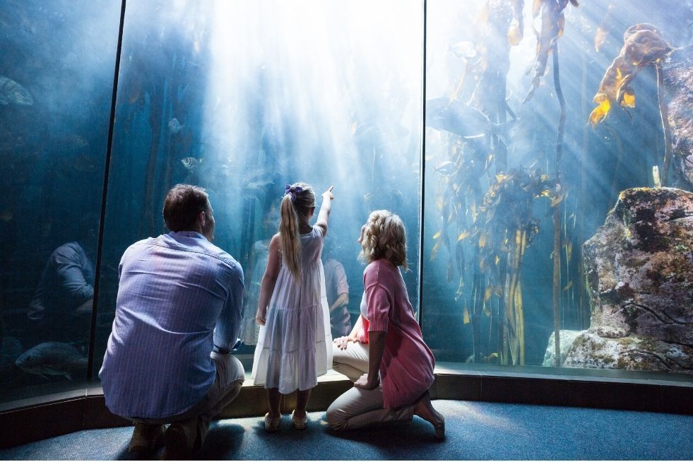 Family of three at an aquarium