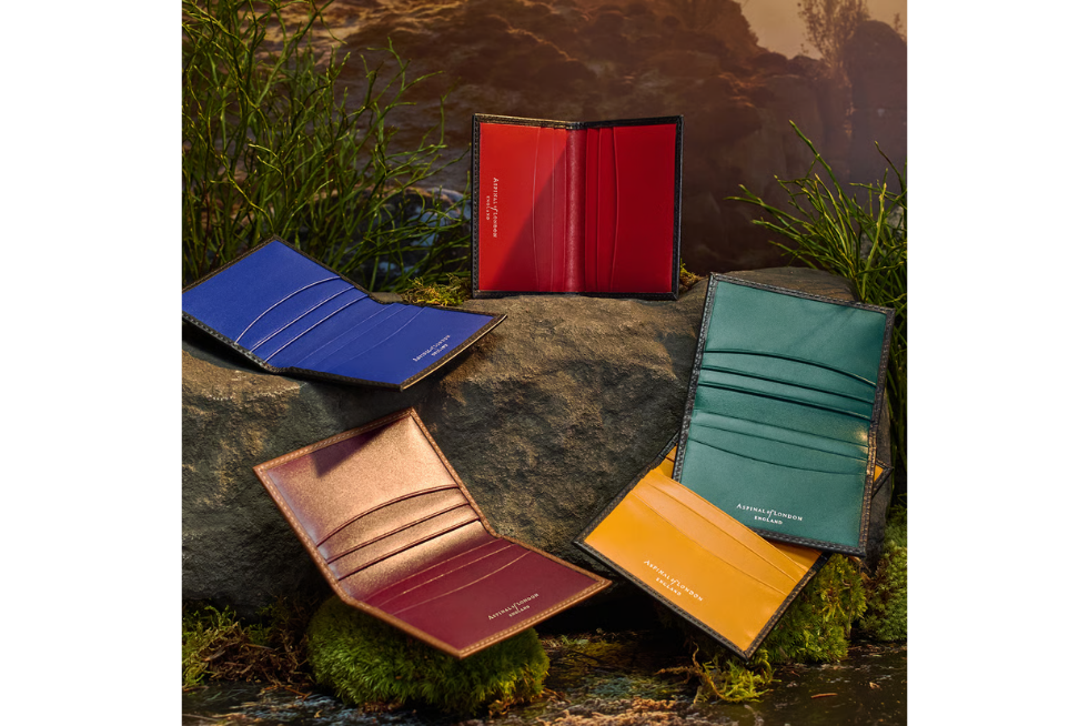 Aspinal of London cardholders in five different colours