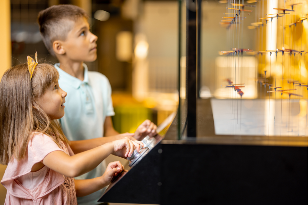 Two children looking at an exhibit in a museum