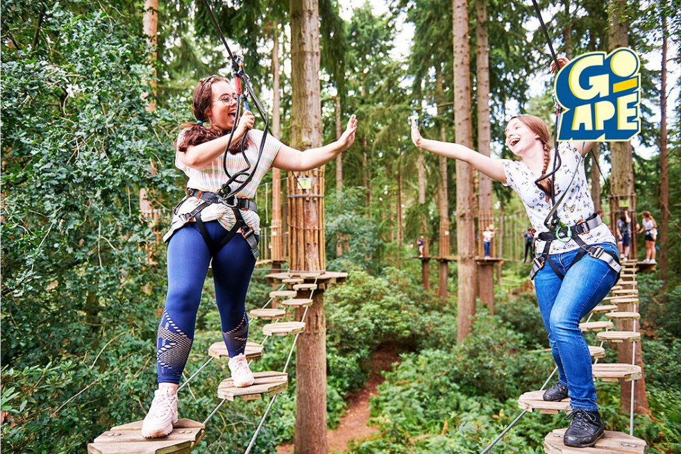 Two people high fiving on an aerial adventure