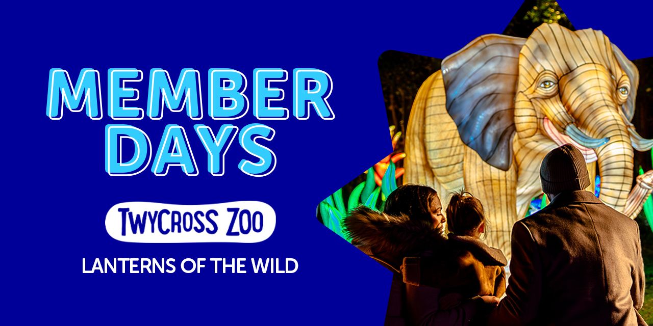 Member Days banner image