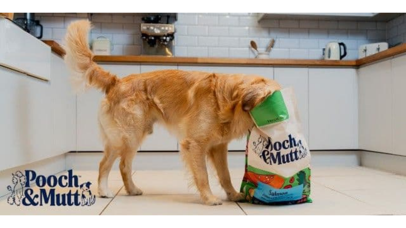 Pooch and Mutt Blue Light Card discounts banner 