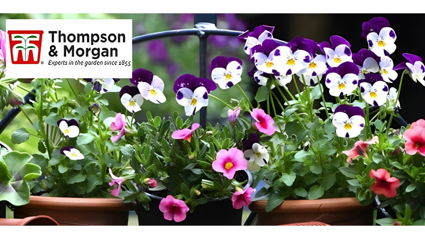 Thompson and Morgan Blue Light Card discounts banner 