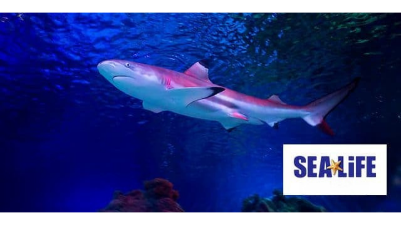 SEA LIFE Centre Blue Light Card discounts banner