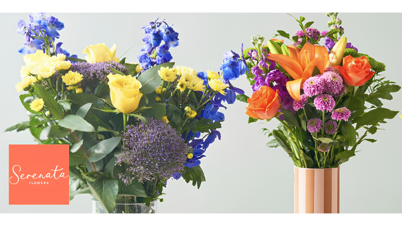 Serenata Blue Light Card discounts banner 