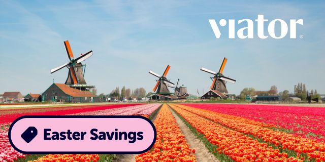 Viator Discount