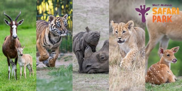West Midlands Safari Park Blue Light Card discount image