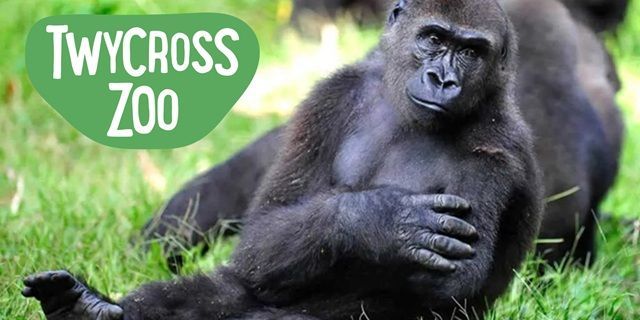 Twycross Zoo discount offer