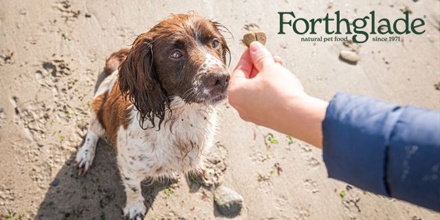 Forthglade discount image