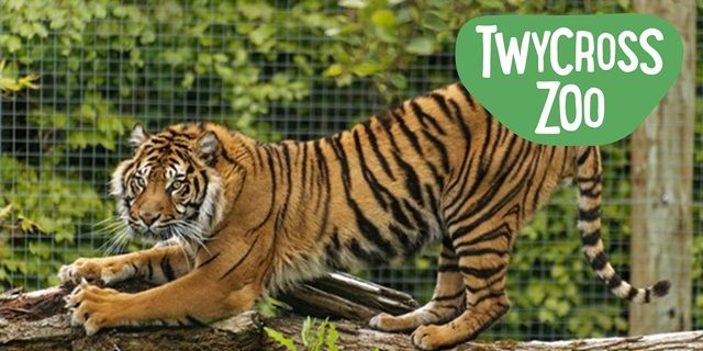 Twycross Zoo Discount