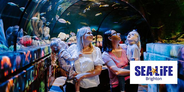 Sea Life center discount offer