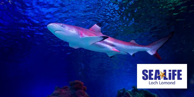 SEA LIFE Centres Discounts