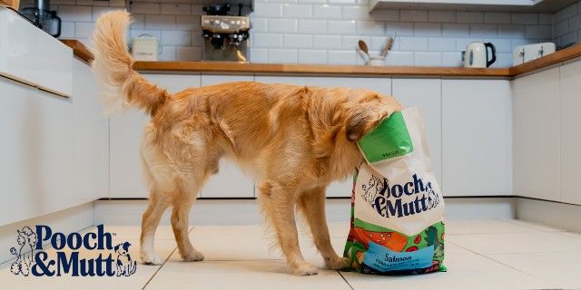 Pooch & Mutt discount