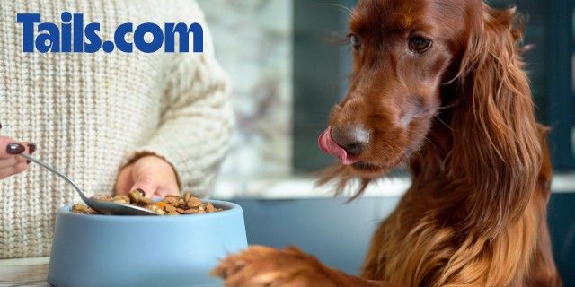 Tails.com discount image