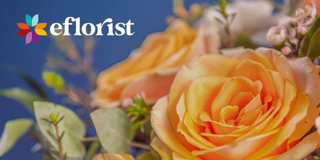 eFlorist discount offer