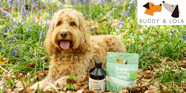 Buddy & Lola discount image