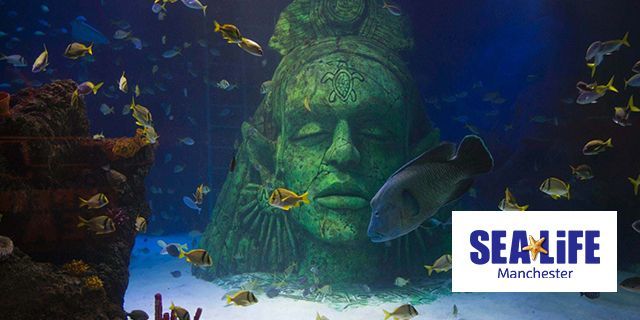 Sea Life Manchester Discounts