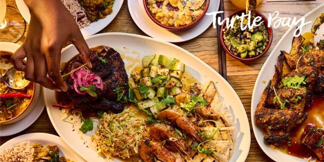 Turtle Bay Discount image