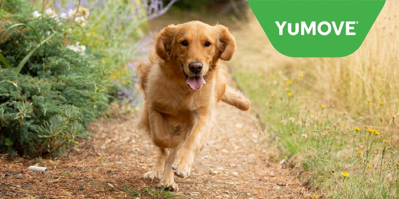 YuMove discount image