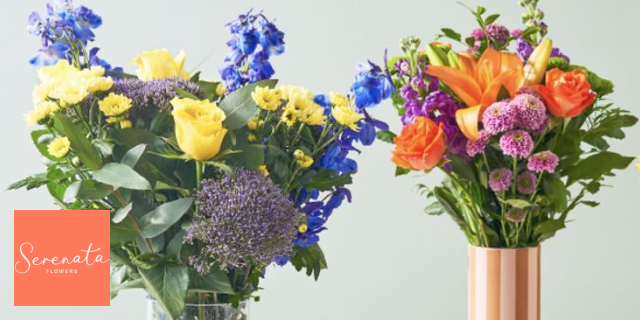 Serenata discount code image