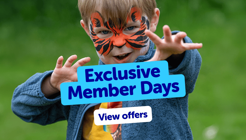 Member Day